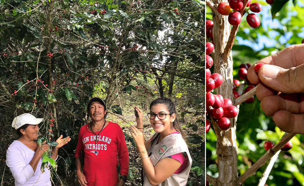 Café Minga en San Ignacio