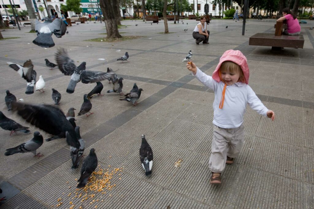 Plaza de Santa Cruz de la Sierra